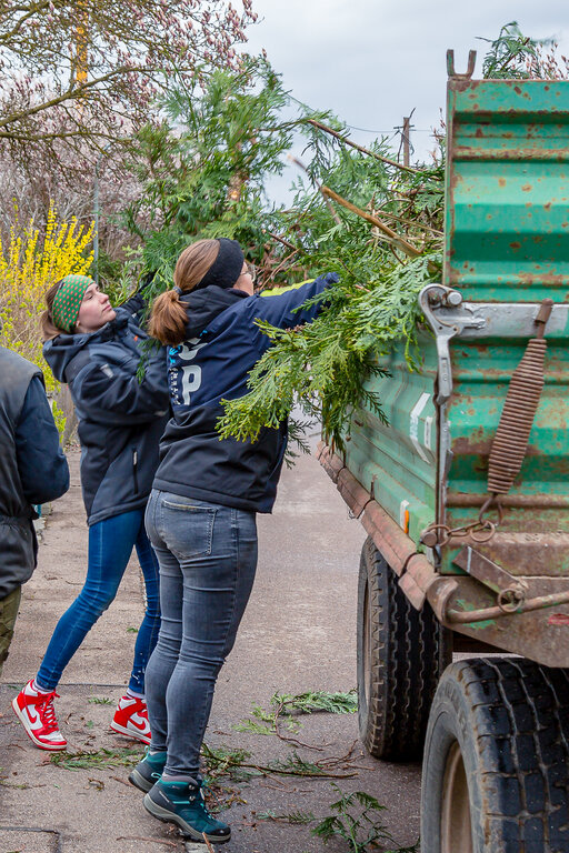 Image: _JA 28090.jpg